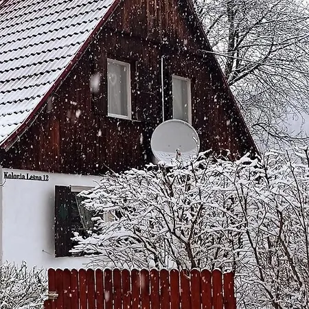 Semesterbostad Dom Sielski W Gorach Stolowych *