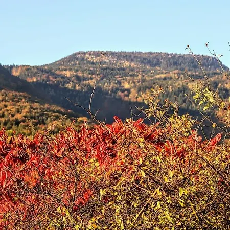 Dom Sielski W Gorach Stolowych * Radkow