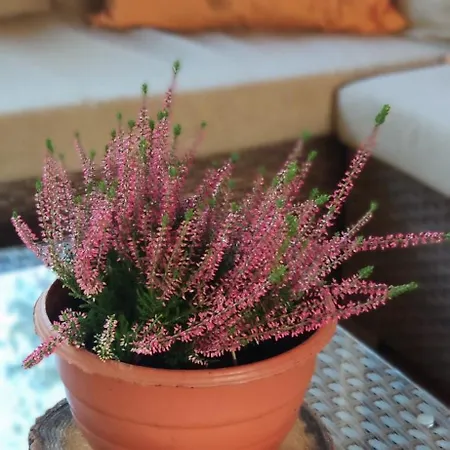 Dom Sielski W Gorach Stolowych Semesterbostad *