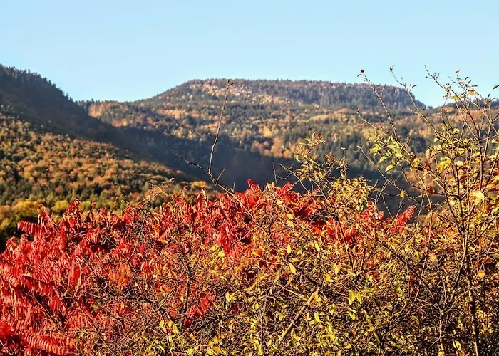 Dom Sielski W Gorach Stolowych * Radkow
